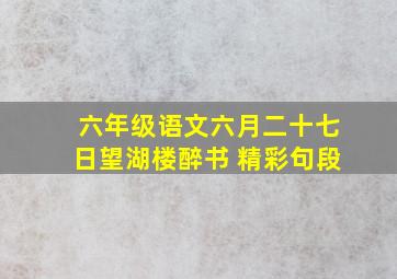 六年级语文六月二十七日望湖楼醉书 精彩句段